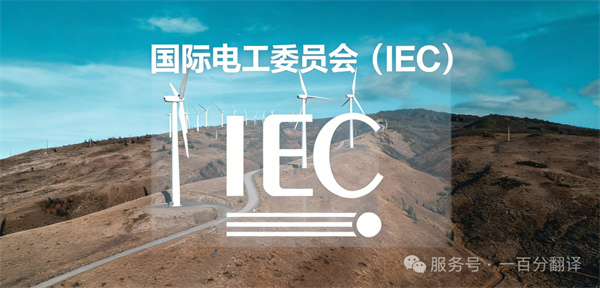 中外標準咨詢服務(wù)