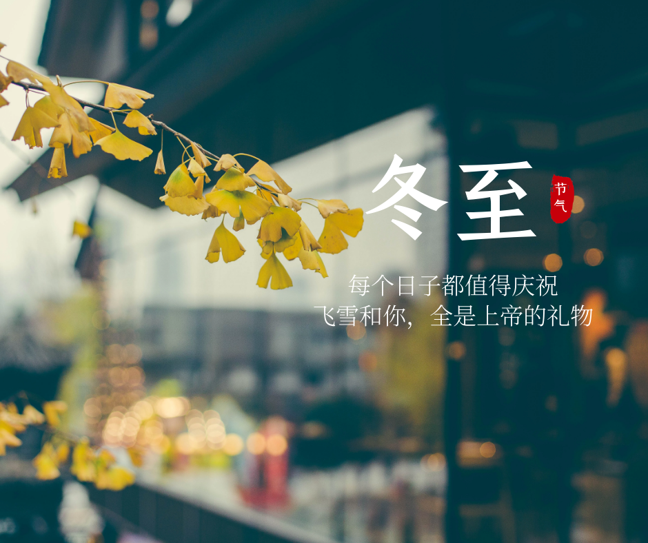 1608512087532049kOFa.png 1608512087532049kOFa.png